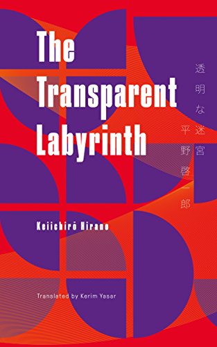 Cover of The Transparent Labyrinth