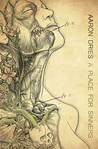 Cover of A Place For Sinners