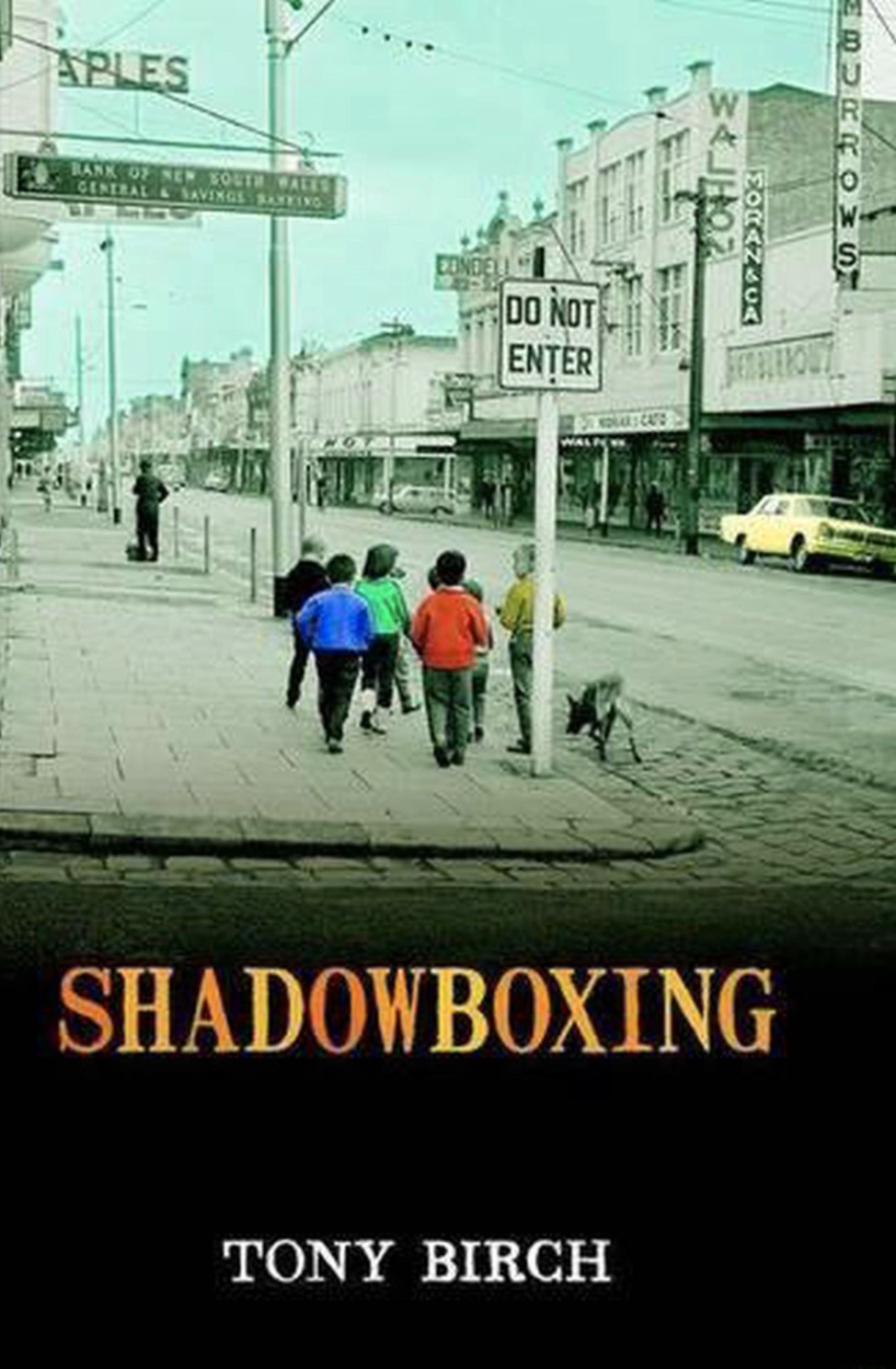 Cover of Shadowboxing