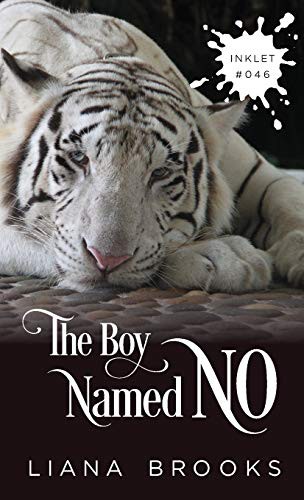 Cover of The Boy Named No
