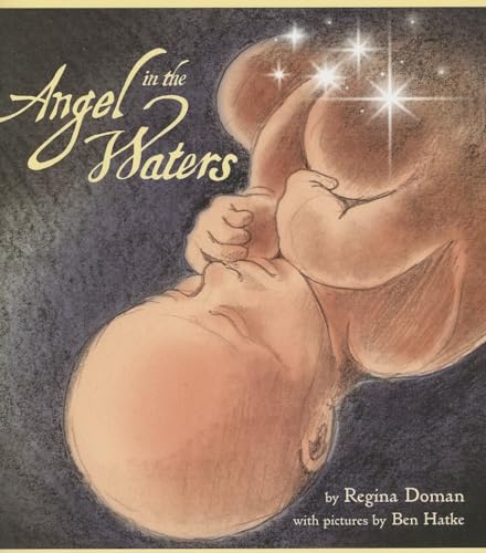 Cover of Angel in the Waters