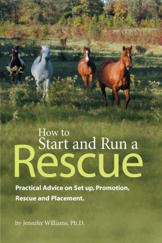 Cover of How to start and run a rescue