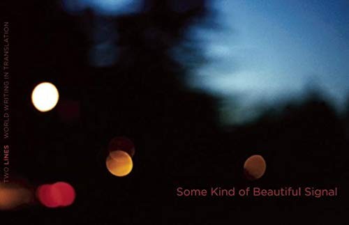 Cover of Some kind of beautiful signal