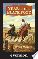 Cover of Year of the Black Pony