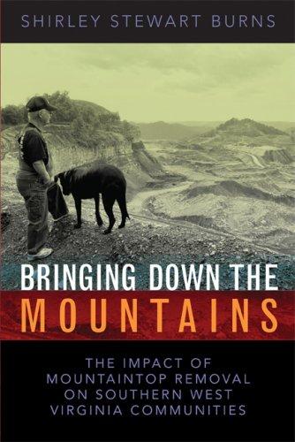 Cover of Bringing down the mountains