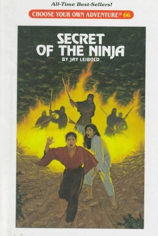 Cover of Choose Your Own Adventure - The Secret of the Ninja