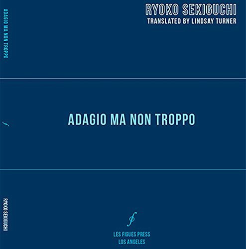 Cover of adagio ma non troppo