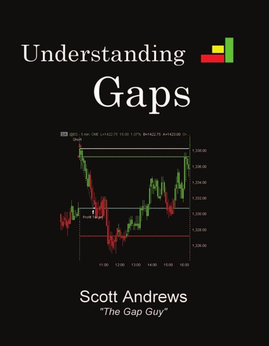 Cover of Understanding gaps
