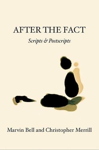 Cover of After The Fact