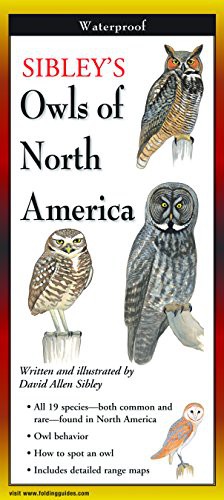 Cover of Sibley's Owls of North America