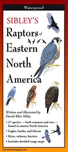Cover of Sibley's Raptors of Eastern North America
