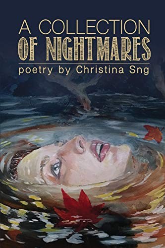 Cover of A Collection of Nightmares