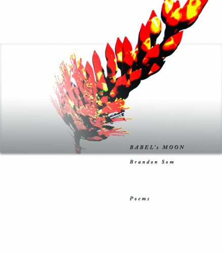 Cover of Babel's Moon