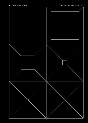 Cover of Vanishing Perspective