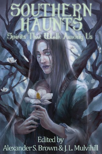 Cover of Southern Haunts: Spirits That Walk Among Us