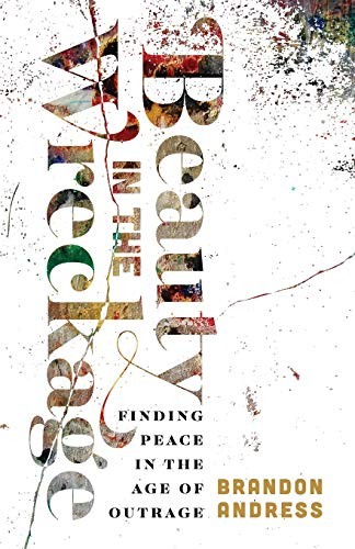Cover of Beauty in the Wreckage