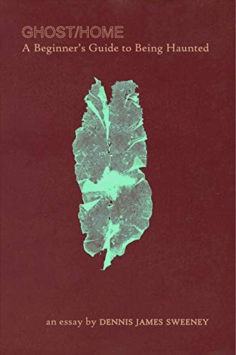 Cover of Ghost/Home