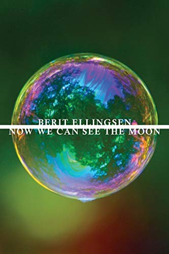 Cover of Now We Can See the Moon