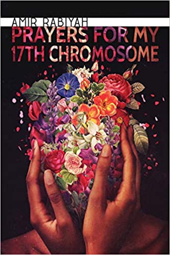 Cover of Prayers for my 17th chromosome
