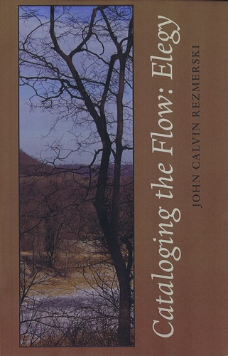 Cover of Cataloging the Flow