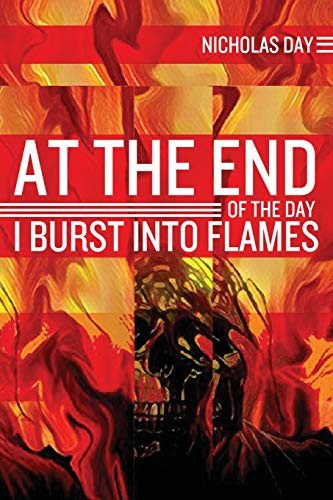Cover of At the End of the Day I Burst into Flames