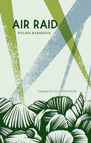 Cover of Air Raid