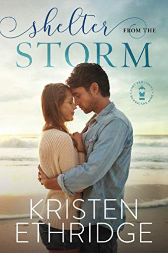 Cover of Shelter from the Storm