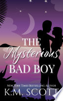 Cover of The Mysterious Bad Boy