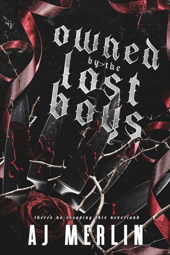 Cover of Owned by the Lost Boys