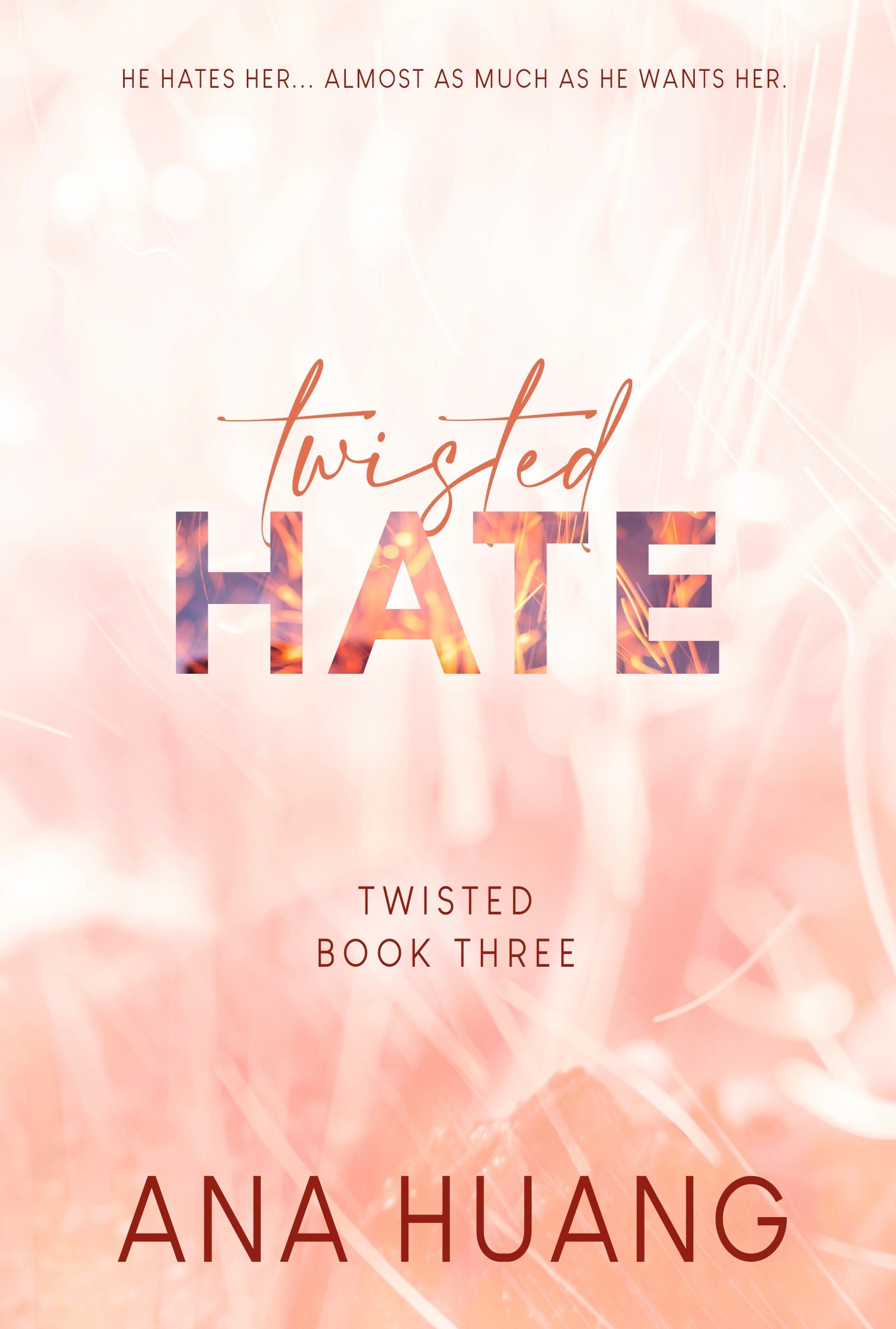 Cover of Twisted Hate