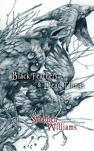 Cover of Black Feathers and Dead Things