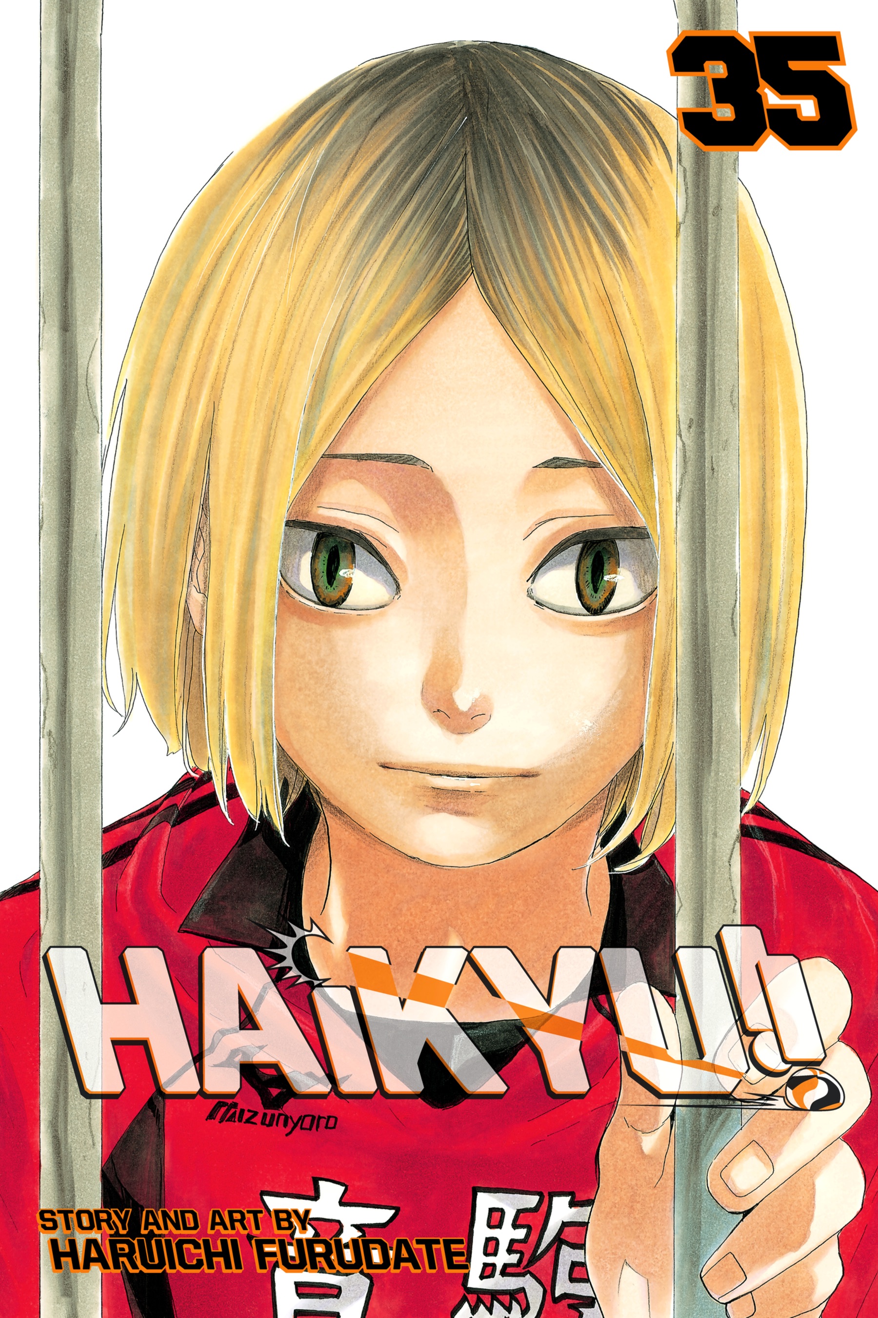Cover of Haikyu!!, Vol. 35: Birdcage