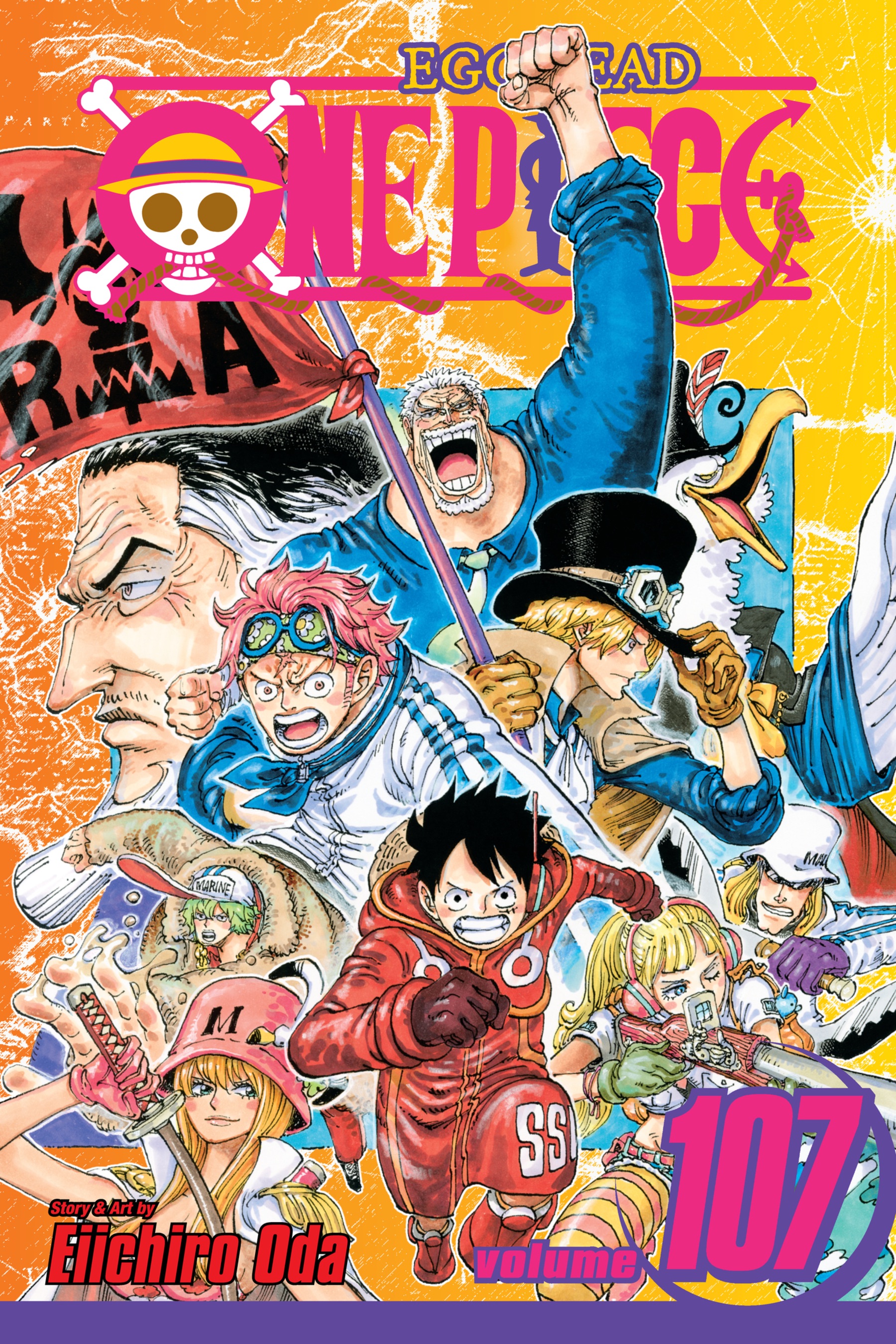 Cover of One Piece, Vol. 107: The Hero of Legend