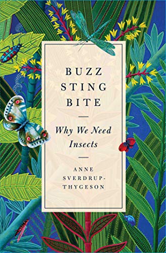 Cover of Extraordinary Insects