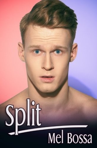 Cover of Split