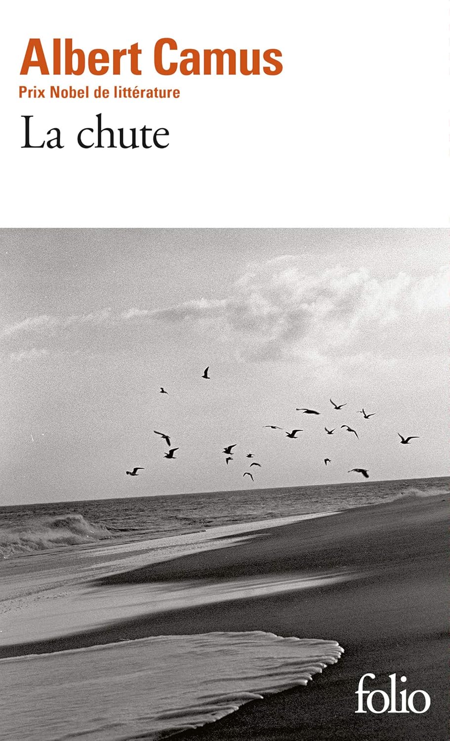 Cover of La chute