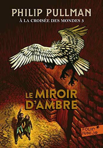 Cover of Le Miroir d'Ambre