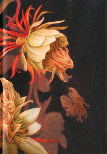 Cover of Carnet de notes avec élastique "Belles-de-nuit"