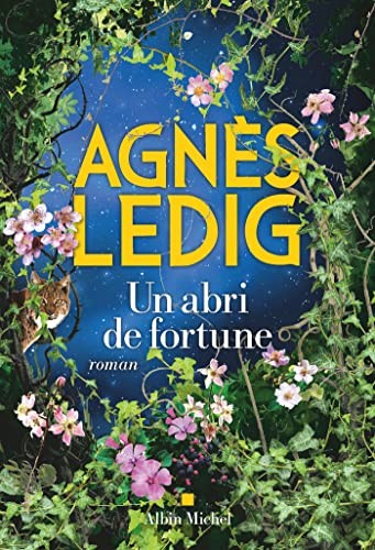 Cover of Un abri de fortune