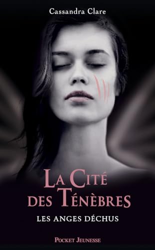 Cover of Les anges déchus