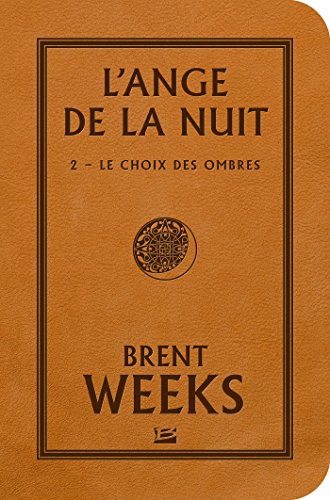 Cover of Stars : L'Ange de la nuit, T2 : Le Choix des Ombres
