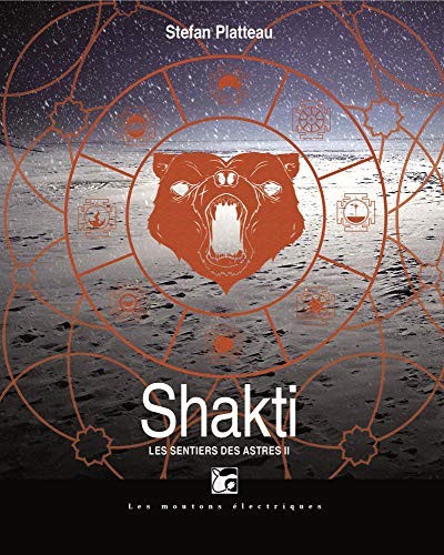 Cover of LES SENTIERS DES ASTRES 2 - SH