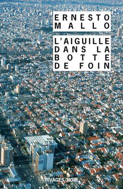 Cover of L'Aiguille dans la botte de foin