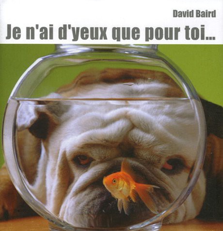 Cover of JE N'AI D'YEUX QUE POUR TOI