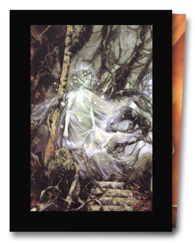 Cover of La Graine de folie, coffret 2 volumes