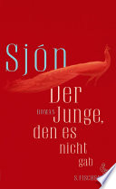 Cover of Der Junge, den es nicht gab