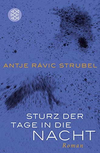 Cover of Sturz der Tage in die Nacht