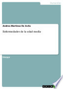 Cover of Enfermedades de la edad media