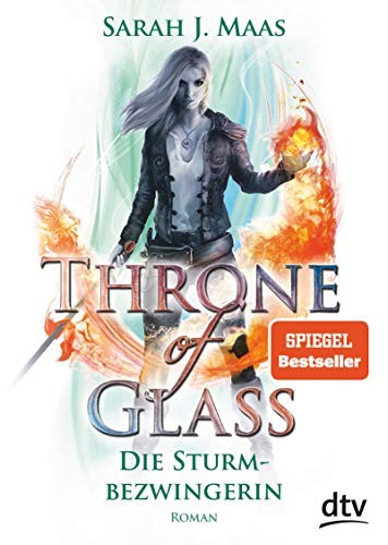 Cover of Die Sturmbezwingerin