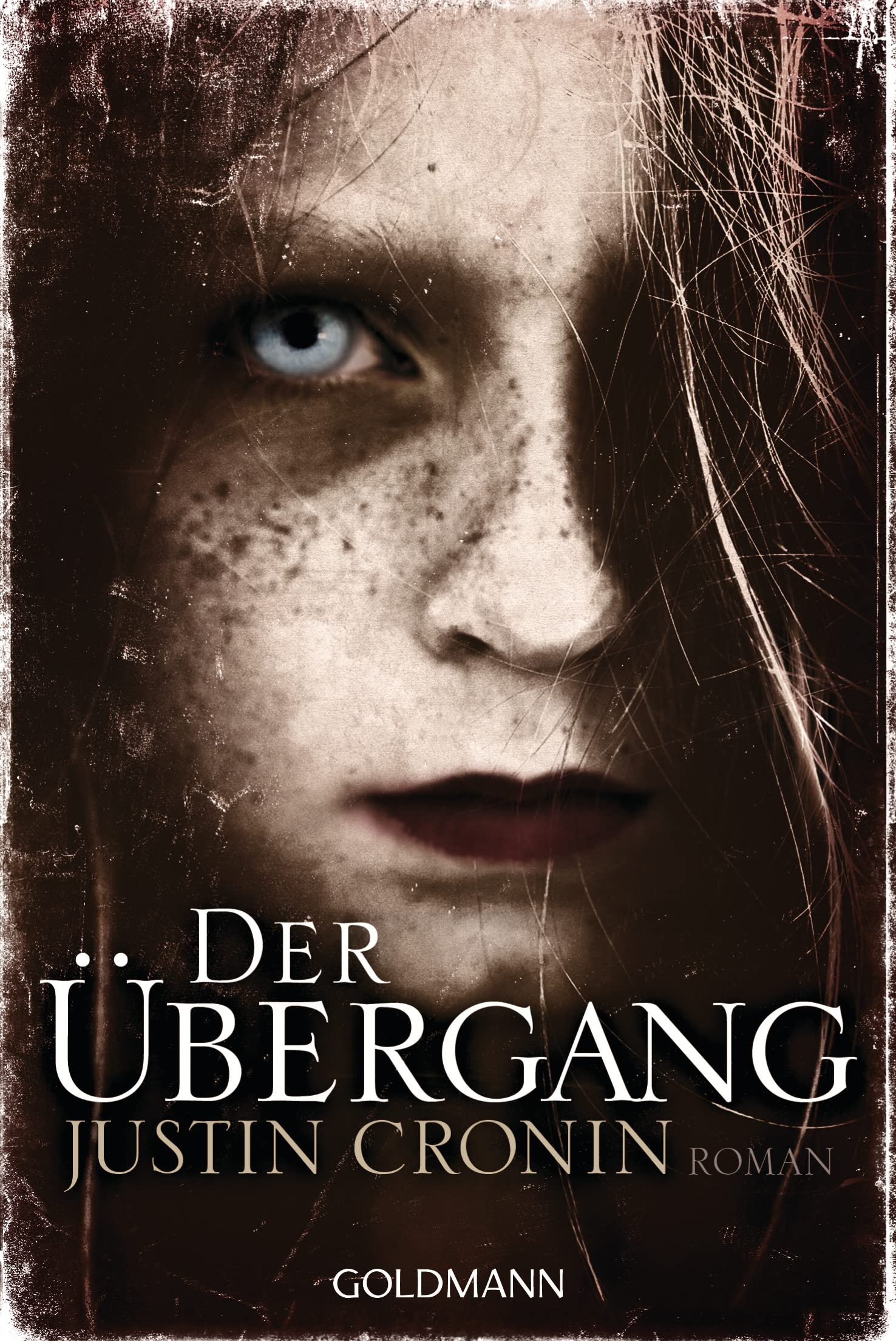 Cover of Der Übergang